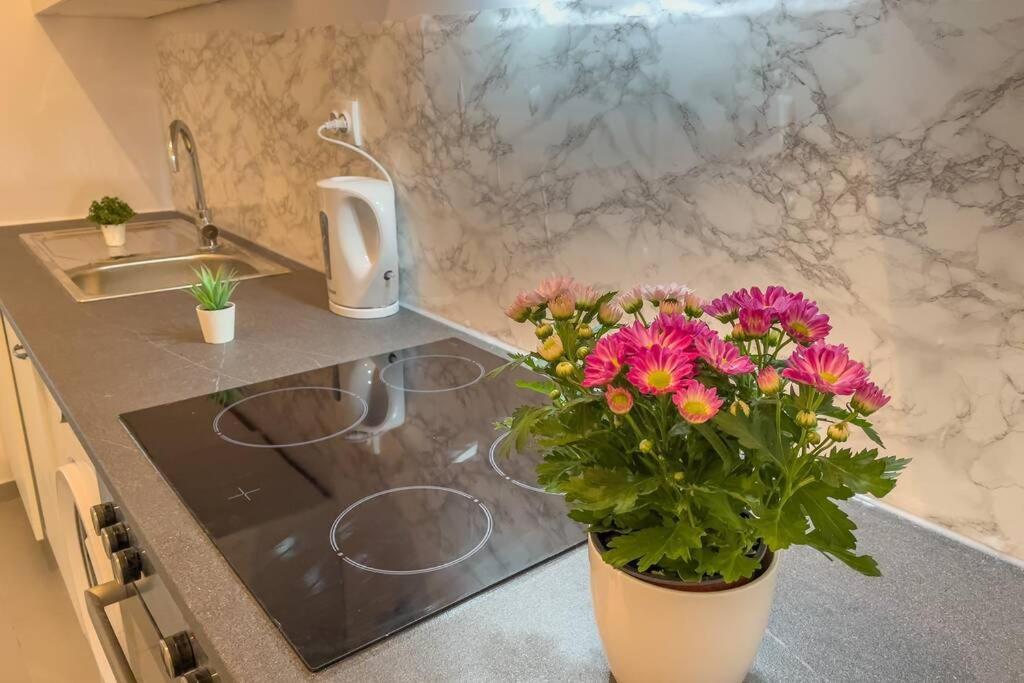 Cosy Studio Near Central Station Apartment Wina Bagian luar foto